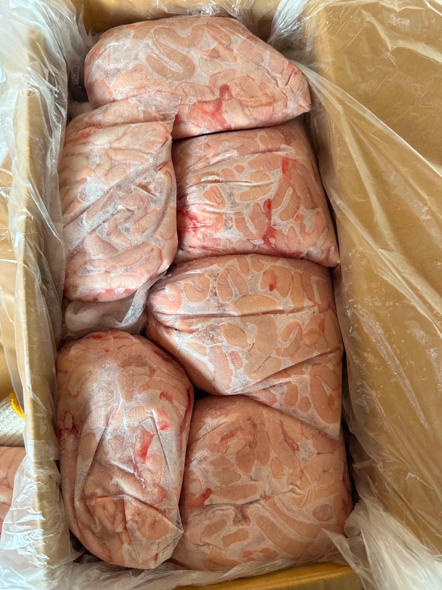 Dồi trường - Túi thường - 豚コブクロ Pig uterus มดลูกหมู